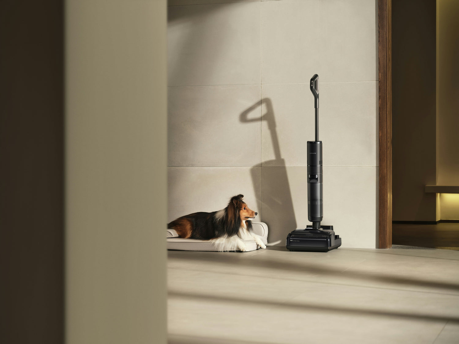 Home & Cleaning
