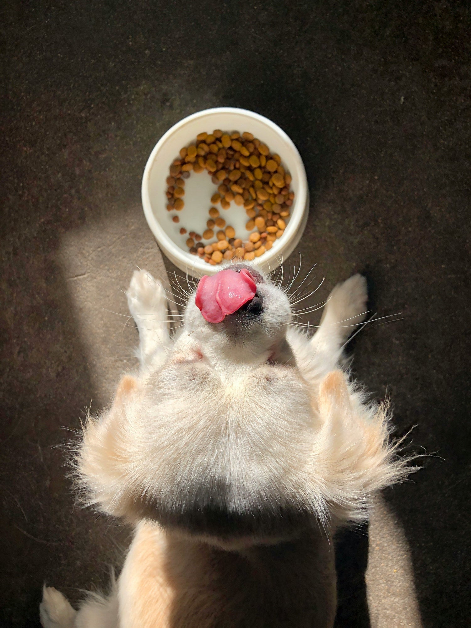 Feeding & Health